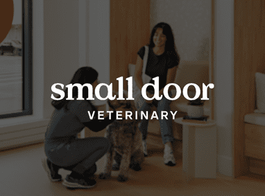 Small Door office